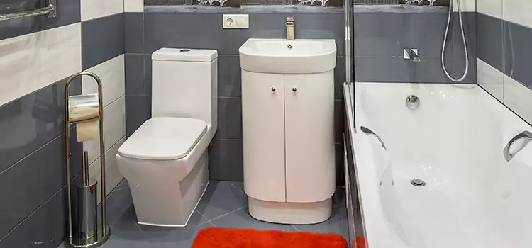 Hansgrohe Shaving Mirror Santa Fe